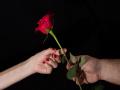 Valentine ला गुलाबापेक्षाही 'या' वस्तूची झाली रेकॉर्डब्रेक विक्री; ऐकून हैराण व्हाल - Marathi News | Condom Sales increased On Valentine's Day by 22 percent | Latest jarahatke Photos at Lokmat.com