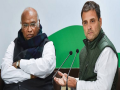 Mallikarjun Kharge: काँग्रेस अध्यक्ष मल्लिकार्जुन खर्गे यांना आपल्याच घरात धोबीपछाड; एका मताने भाजपचा विजय... - Marathi News | Mallikarjun Kharge: bjp-wins-mayor-deputy-mayor-post-in-kalaburagi-city-corporation | Latest national News at Lokmat.com