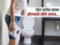 पोट साफ न होण्याचा त्रास रोज छळतो? खा ही ६ फळं, कॉन्स्टिपेशनचा त्रास होईल कमी - Marathi News | Doctor told about 6 fiber rich fruits that can relieve constipation | Latest sakhi News at Lokmat.com