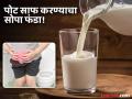 पोट व्यवस्थित साफ होत नसेल तर दुधात टाकून प्या 'ही’ एक गोष्ट, कॉन्स्टिपेशनचा त्रास कमी - Marathi News | Drinking milk and honey to get rid of constipation problems | Latest health News at Lokmat.com