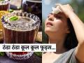 तापत्या उन्हात शरीर थंड ठेवायचंय? ऋजुता दिवेकर सांगतात ३ गारेगार पदार्थ... - Marathi News | Nutritionist Rujuta Diwekar told what to eat to stay cool summer | Latest sakhi News at Lokmat.com