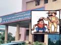 ‘कूपर’मध्ये रंगले चोर-पोलिस नाट्य, पोलिसांना गुंगारा देण्याचा कैद्याचा प्रयत्न फसला - Marathi News | Police grabbed Thief when he was trying to escape from Mumbai Cooper hospital | Latest crime News at Lokmat.com