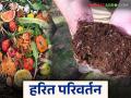 Compost Khat: 'कंपोस्ट क्रांती': गावागावांतून उगम होतोय हरित समृद्धीचा! वाचा सविस्तर - Marathi News | Compost Khat: latest news 'Compost Revolution': Green prosperity is emerging from villages! read in details | Latest agriculture News at Lokmat.com