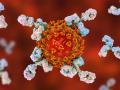 CoronaVirus : चीननं आधी जगाला संकटात लोटलं; आता कोरोनाला संपवणारी अँटीबॉडी मिळवली! - Marathi News | CoronaVirus : corona vaccine chinese researchers found human neutralizing antibody who targeting corona vrd | Latest international Photos at Lokmat.com