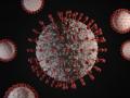 CoronaVirus in Nagpur जागतिक आरोग्यदिनी ‘कोरोना’चा ‘ब्लास्ट’ : सर्वाधिक ६६ मृत्यू - Marathi News | Corona Virus in Nagpur World Health Day Corona Blast: 66 Deaths | Latest nagpur News at Lokmat.com