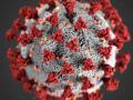 CoronaVirus in Nagpur : जुलै नंतर सर्वात कमी मृत्यूची नोंद : २३८ नव्या रुग्णांची भर - Marathi News | CoronaVirus in Nagpur: Lowest death after July: 238 new cases added | Latest nagpur News at Lokmat.com