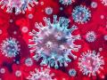 coronavirus : नांदेडमध्ये कोरोनाबाधित महिलेचा मृत्यू; आणखी नऊ बाधितांची भर - Marathi News | coronavirus: Corona infected woman dies in Nanded | Latest nanded News at Lokmat.com