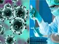 Coronavirus: चीनच्या वुहान लॅबमध्ये 'विशेष उद्देशा'नं बनवला कोरोना व्हायरस; अमेरिकी चॅनलचा दावा - Marathi News | coronavirus case fox news claim china created corona virus in wuhans lab vrd | Latest international News at Lokmat.com
