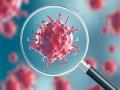 Coronavirus: कसं झालं 'कोरोना'चं बारसं?; काय आहे त्याचा अर्थ?... जाणून घ्या Interesting माहिती - Marathi News | How did coronavirus get its name know the meaning kkg | Latest international News at Lokmat.com