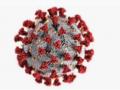 CoronaVirus in Nagpur : नागपुरात ४२ दिवसांनंतर मृत्यूची संख्या ५०च्या खाली - Marathi News | Corona Virus in Nagpur: Death toll in Nagpur drops below 50 after 42 days | Latest nagpur News at Lokmat.com