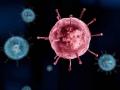 coronavirus : हिंगोलीत आणखी २८ कोरोनाबाधितांची वाढ; ६ रुग्णांची प्रकृती चिंताजनक - Marathi News | coronavirus: 28 more coronavirus cases in Hingoli; The condition of 6 patients is critical | Latest hingoli News at Lokmat.com