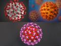 Coronavirus : एक नाही तर तीन प्रकारचा आहे कोरोना व्हायरस, 'हा' आहे सर्वात जीवघेणा प्रकार! - Marathi News | Coronavirus : There are three types of covid-19 most dangerous is type b api | Latest health Photos at Lokmat.com