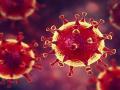 CoronaVirus in Nagpur :  चाचण्यांच्या तुलनेत ११.८६ टक्के कोरोनाबाधित - Marathi News | CoronaVirus in Nagpur: 11.86 per cent corona infected compared to tests | Latest nagpur News at Lokmat.com