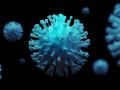 coronavirus : हिंगोलीत मुंबईहून परतलेले आणखी सहा कोरोनाबाधित - Marathi News | coronavirus: Six more coronavirus infected who returned from Mumbai in Hingoli | Latest hingoli News at Lokmat.com