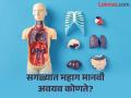 मनुष्यांचा सगळ्यात महागडा अवयव कोणता? ब्लॅक मार्केटमध्ये लावली जाते वाट्टेल ती बोली..... - Marathi News | | Latest jarahatke News at Lokmat.com