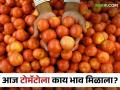 Tomato Bajarbhav : पुण्यात टोमॅटोची आवक वाढली, आज काय बाजारभाव मिळाला? - Marathi News | Tomato Bajarbhav arrival of tomatoes increased in Pune see tomato market price | Latest agriculture News at Lokmat.com