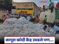 Kapus Kharedi : कापूस खरेदी केंद्र उघडले; पण आता नोंदीसाठी शेतकऱ्यांची धावपळ सुरू - Marathi News | latest news Kapus Kharedi : Cotton purchase center opened; But now farmers are rushing to register | Latest agriculture News at Lokmat.com