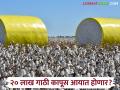 Cotton Import Duty : शुल्कमुक्त कापूस आयात: देशांतर्गत बाजारावर दबाव; उत्पादकांचे भवितव्य धोक्यात? वाचा सविस्तर - Marathi News | latest news Cotton Import Duty: Duty-free cotton import: Pressure on domestic market; Is the future of producers at risk? Read in detail | Latest agriculture News at Lokmat.com