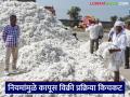 Kapus Kharedi : हमी केंद्रावर कापूस विक्रीसाठी शेतकऱ्यांना टेक्नोसॅव्ही व्हावे लागणार! - Marathi News | latest news Kapus Kharedi: Farmers will have to become techno-savvy to sell cotton at the guarantee center! | Latest agriculture News at Lokmat.com