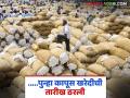 Cotton Market Update: कापुस उत्पादकांनो! सीसीआय खरेदी होणार पुन्हा सुरळीत वाचा सविस्तर - Marathi News | Cotton Market Update: latest news Cotton growers! CCI procurement will be smooth again, read in detail | Latest agriculture News at Lokmat.com