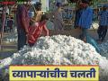 Cotton Market : हमीभाव खरेदी केंद्रांवर व्यापाऱ्यांचीच चलती ! काय आहे प्रकरण ते वाचा सविस्तर - Marathi News | Cotton Market: Traders are the only ones moving at guaranteed price purchase centers! | Latest agriculture News at Lokmat.com