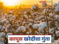 Cotton Market Update: 'सीसीआय'ची कापूस खरेदी वांद्यात; जाणून घ्या काय आहे कारण - Marathi News | Cotton Market Update: latest news CCI's cotton procurement is in abeyance; Know the reason | Latest agriculture News at Lokmat.com