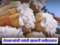 सीसीआयच्या जाचक अटींमुळे शेतकऱ्यांचा कापूस निघाला खासगी बाजारात; वाचा कसा मिळतोय दर? - Marathi News | Farmers cotton ends up in private market due to CCI's oppressive conditions; Read how they are getting the price? | Latest agriculture News at Lokmat.com