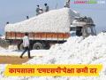 Kapus Kharedi : सीसीआयच्या क्लिष्ट प्रक्रियेमुळे कापूस शेतकरी अडचणीत; एमएसपीचा लाभच नाही? - Marathi News | latest news Kapus Kharedi: Cotton farmers in trouble due to CCI's complicated process; No benefit from MSP? | Latest agriculture News at Lokmat.com