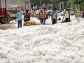 ‘पणन’चा कापूस खरेदी मुहूर्त लांबणीवर - Marathi News |  'Marketing' to buy cotton for prolonged | Latest akola News at Lokmat.com
