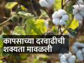 कापसाचे दर ७,२०० रुपयांच्या आसपास स्थिरावणार - Marathi News | | Latest agriculture News at Lokmat.com