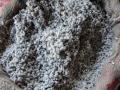 मागणी घटल्याने घसरले सरकीचे भाव - Marathi News | Rate of cotton seed slashed due to declining demand | Latest akola News at Lokmat.com