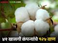 Cotton Farming चिंता करू नका, कापसाच्या १० लाख पाकिटांची गरज; उपलब्ध होणार १३ लाख - Marathi News | Don't worry, need 1 million cotton bags; 13 lakh will be available | Latest agriculture News at Lokmat.com