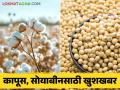 सोयाबीन, कापूस खरेदीसाठी केंद्र सरकारचा हा मोठा निर्णय वाचा सविस्तर - Marathi News | Central government big decision regarding to purchase soybean and cotton read in detail | Latest agriculture News at Lokmat.com
