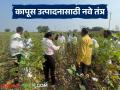 Cotton Awareness Program : कापूस उत्पादन वाढीसाठी करखेली येथे शास्त्रज्ञ-शेतकरी संवाद - Marathi News | latest news Cotton Awareness Program: Scientist-farmer interaction at Karkheli to increase cotton production | Latest agriculture News at Lokmat.com