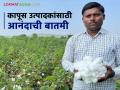 CCI Cotton Market: कापुस उत्पादकांना खुशखबर; 'या' दिवशी कापूस खरेदी पूर्ववत वाचा सविस्तर - Marathi News | CCI Cotton Market: latest news Good news for cotton growers; Cotton procurement resumed on 'this' day Read in detail | Latest agriculture News at Lokmat.com