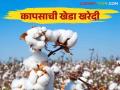 Cotton Market : शासकीय कापूस खरेदीचा मुहूर्त दिवाळीनंतर; शेतकऱ्यांची खुल्या बाजारात विक्रीला पसंती  - Marathi News | Cotton Market: Government cotton purchase time after Diwali | Latest agriculture News at Lokmat.com