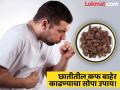 फुप्फुसात जमा झालेला कफ झटक्यात येईल बाहेर, डॉक्टरांनी सांगितला 'हा' आयुर्वेदिक उपाय... - Marathi News | Ayurveda remedy badi elaichi to remove mucus or phlegm from lungs | Latest health News at Lokmat.com