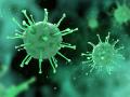 Coronavirus in Yawatmal; यवतमाळ जिल्ह्यात बरे होणा-यांची संख्या जवळपास 200 ने जास्त  - Marathi News | Coronavirus in Yawatmal; The number of cures in Yavatmal district is more than 200 | Latest yavatmal News at Lokmat.com