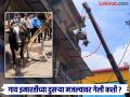 काय सांगता...! थेट इमारतीच्या दुसऱ्या मजल्यावर पोहचली गाय; व्हिडिओ सोशल मीडियावर व्हायरल - Marathi News | pune news Cow goes to second floor of building; Video goes viral on social media | Latest pune News at Lokmat.com