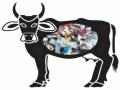 गाईच्या पोटातून निघाल्या ३५ किलो प्लास्टिकच्या पिशव्या - Marathi News | 35 kg of plastic bags found in the cow's stomach | Latest nagpur News at Lokmat.com
