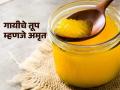थंडीत रोज वापरा गायीचे तूप - चमचाभर तूप करेल त्वचेचे सारे त्रास दूर, नको माहागडे प्रॉडक्ट्स फक्त घरगुती उपाय - Marathi News | Use cow ghee daily in cold weather - a spoonful of ghee will cure all skin problems, no expensive products, just home remedies | Latest sakhi News at Lokmat.com