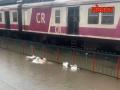 Mumbai Rain Updates : पावसामुळे ठाणे स्टेशनवर साचलं पाणी, रेल्वे वाहतुकीवर परिणाम - Marathi News | Mumbai Rains Schools Shut, Trains Delayed After Heavy Showers | Latest thane Videos at Lokmat.com