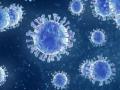 ‘सारी’च्या रुग्णांपैकी ७० टक्के रुग्ण कोरोनाबाधीत - Marathi News | About 70% of Sari patients are infected with corona | Latest buldhana News at Lokmat.com