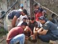 मगरींच्या मृत्यूचे कारण शोधण्यासाठी 'सिस्केप' सरसावले - Marathi News | crocodiles in savitri river mahad | Latest raigad News at Lokmat.com