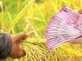 अकोला जिल्ह्यात ८१ हजार शेतकऱ्यांना पीक कर्जाचे वाटप! - Marathi News | Crop loans distributed to 81,000 farmers in Akola district! | Latest akola News at Lokmat.com
