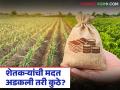 Crop Damage Compensation : ३.५६ लाख शेतकऱ्यांना रब्बी मदत मंजूर; पण खात्यात किती जमा? वाचा सविस्तर - Marathi News | latest news Crop Damage Compensation: Rabi assistance approved for 3.56 lakh farmers; But how much is deposited in the account? Read in detail | Latest agriculture News at Lokmat.com
