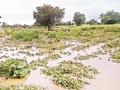 मराठवाड्यात पीक नुकसानीचे ९० % पंचनामे - Marathi News | Panchanama of 90 % of crop losses in Marathwada is complete | Latest chhatrapati-sambhajinagar News at Lokmat.com