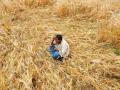 मराठवाड्यातील साडेचार लाख शेतकऱ्यांना मदतीचे वाटप  - Marathi News | Allotment of help to the 4.5 lakh farmers in Marathwada | Latest chhatrapati-sambhajinagar News at Lokmat.com