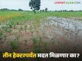 Crop Damage : दोन नाही, आता तीन हेक्टर नुकसानीची होणार नोंद; मदतीच्या यादीत नव्या शेतजमिनींचा समावेश - Marathi News | latest news Crop Damage: Not two, now three hectares of damage will be recorded; New farmlands included in the list of assistance | Latest agriculture News at Lokmat.com