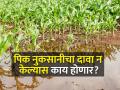 नुकसानीनंतर ७२ तासांत तक्रार केली तरच मदत! - Marathi News | Help only if reported within 72 hours of loss! | Latest agriculture News at Lokmat.com